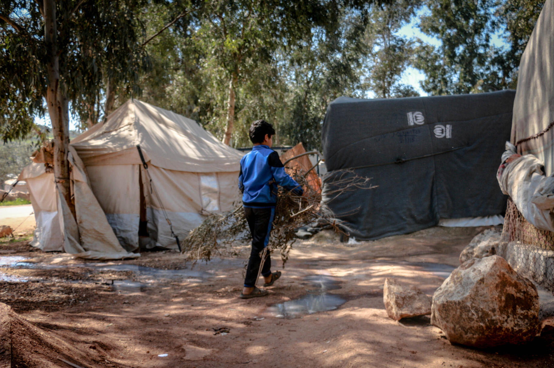 The core of the project, where each case represents an instance in which climate conditions have been raised as a basis for humanitarian protection, asylum or non-refoulement before a court or tribunal.